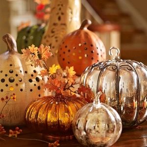 Meet your Posher, Sonya